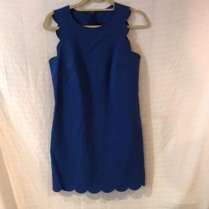 JCREW Royal Blue Scallop Dress